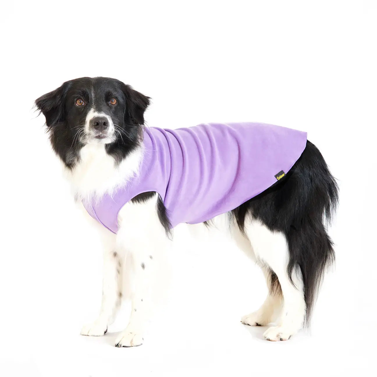 Goldpaw Stretch Fleece
