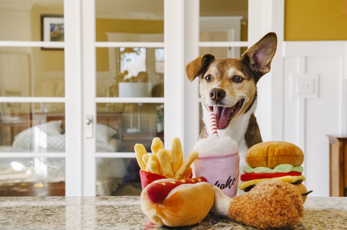 P.L.A.Y. American Classic Toy - Burger
