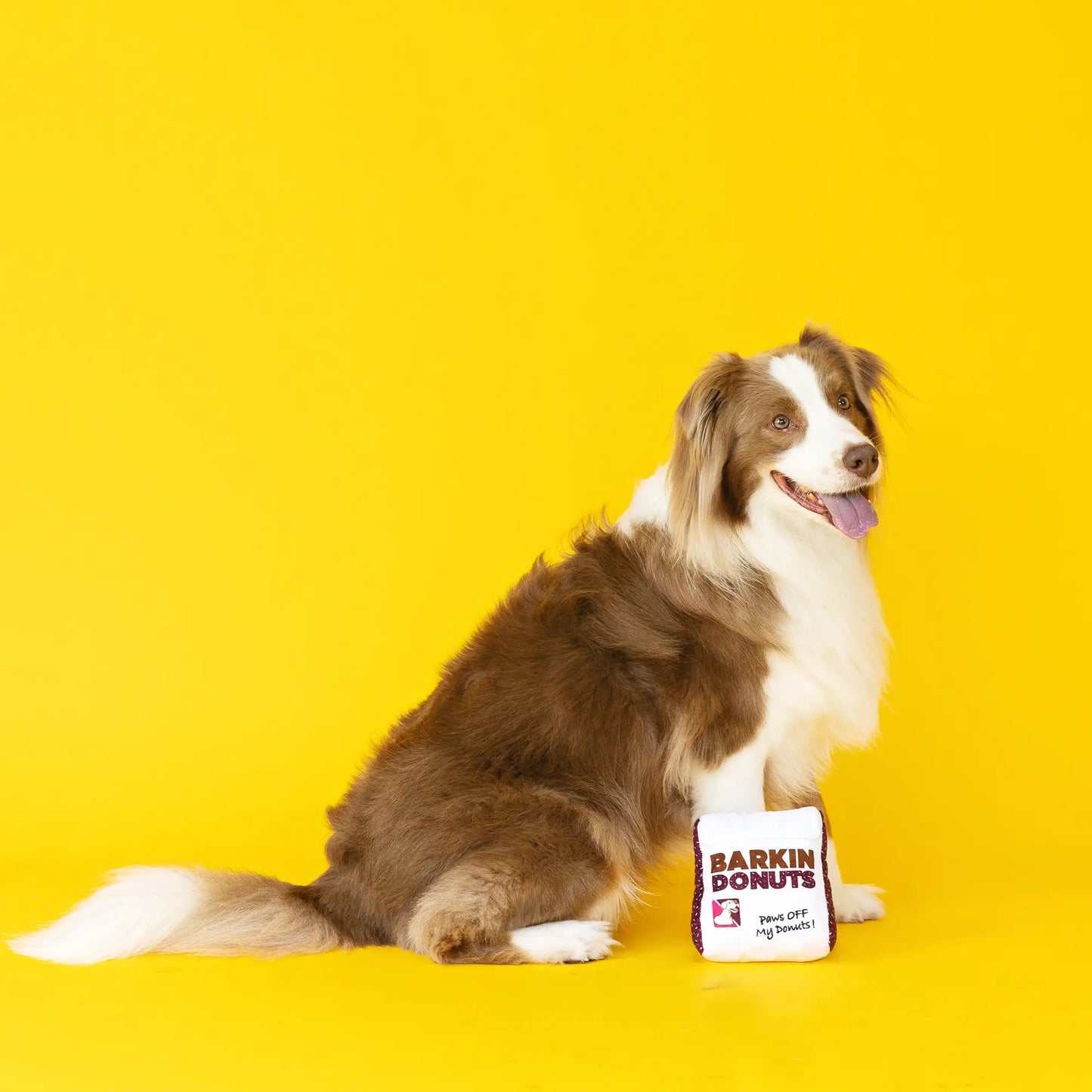 Bolsa de donas Barkin Donuts