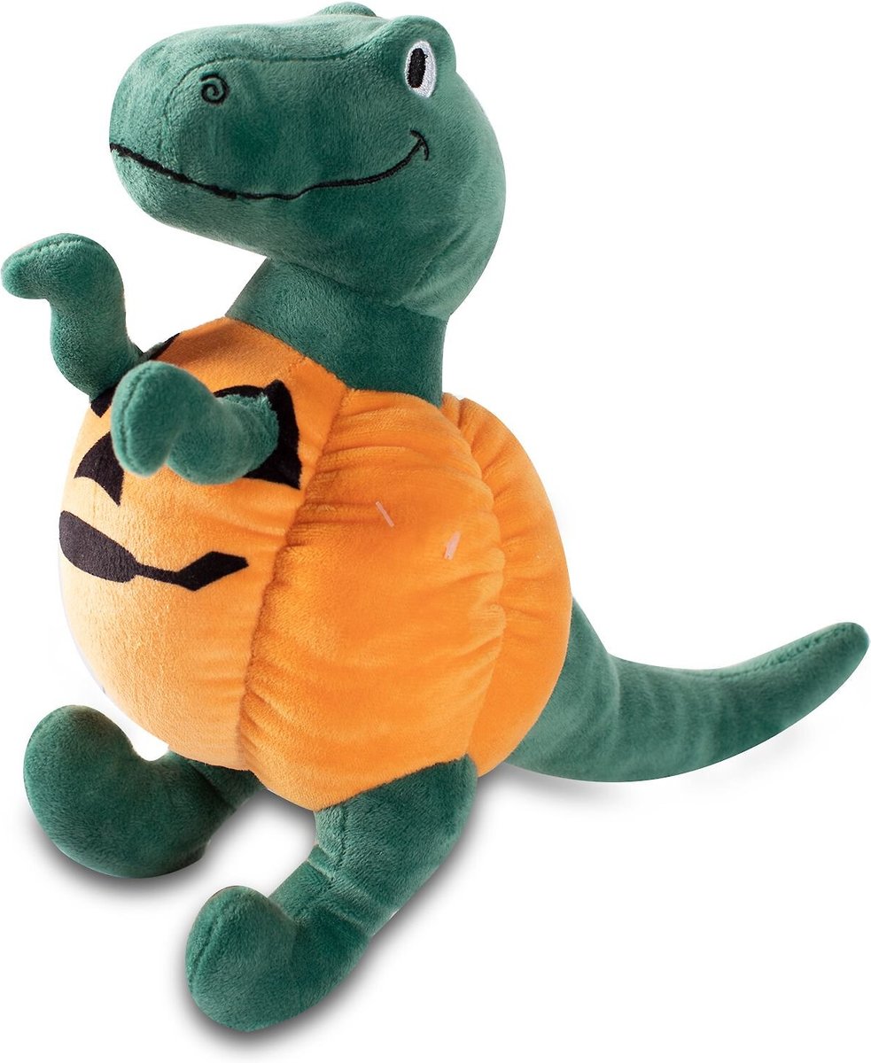 REX-O-LINTERNA 