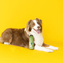 Load image into Gallery viewer, Petshop Raw Paw Pressed Juice
