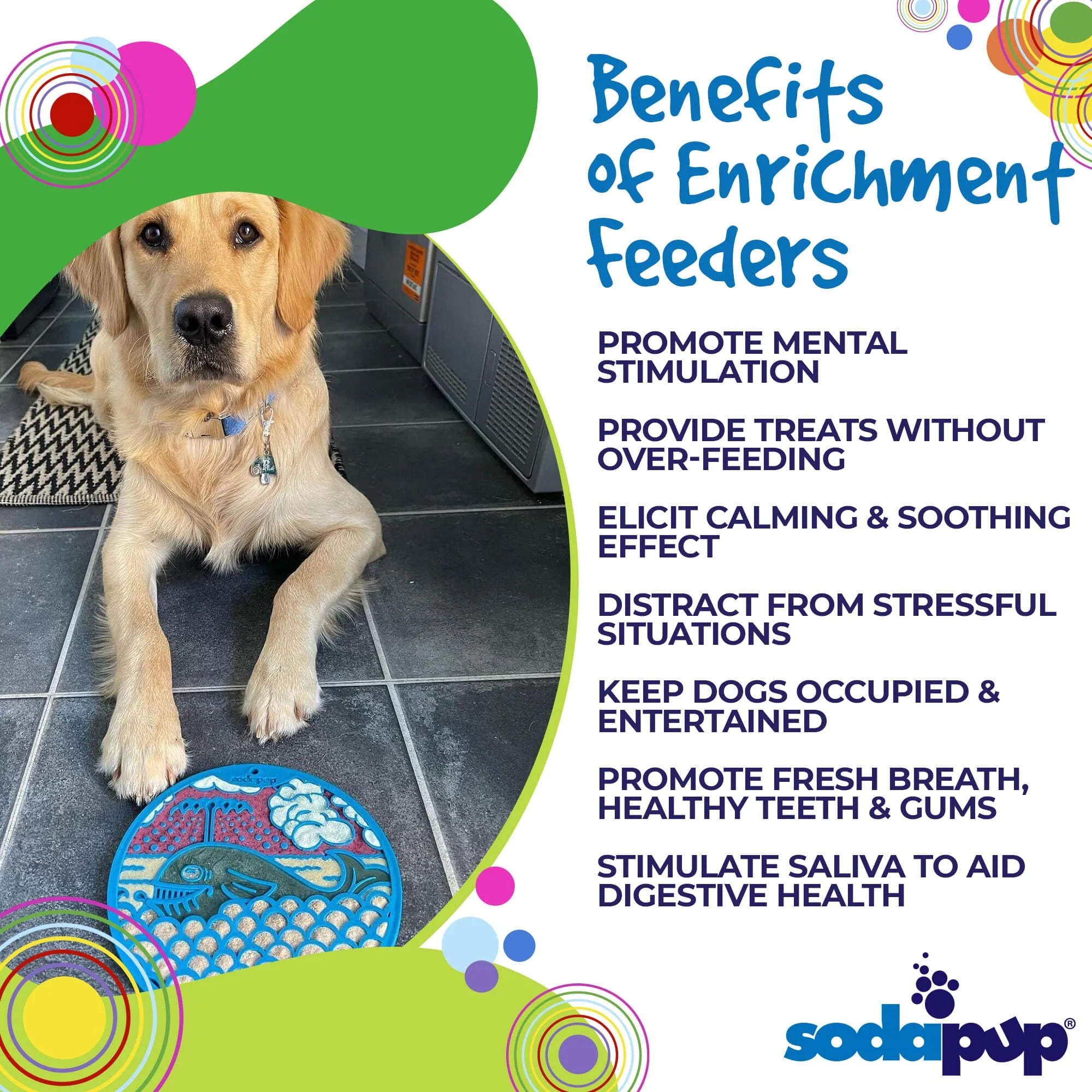 https://ruffcitypet.com/cdn/shop/products/4-Benefits-SodaPup-EnrichmentFeeder-SodaPup-eMatWhale_1024x1024_2x_78008af2-4162-4bee-a0f6-e975c4500cfd_1024x1024@2x.webp?v=1670512017