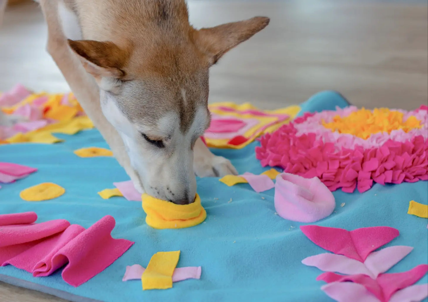 Fun House Snuffle Mat