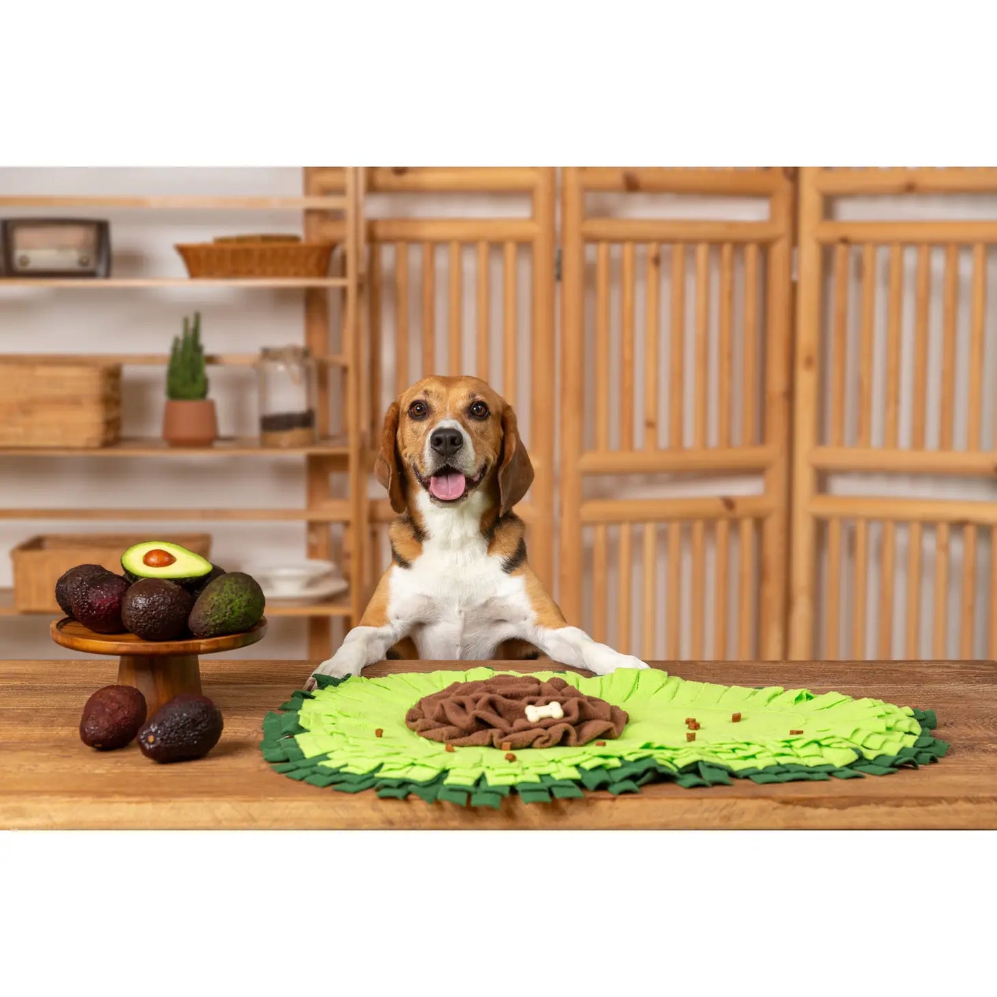 Injoya Avocado Snuffle Mat