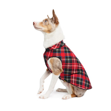 Goldpaw Stretch Fleece
