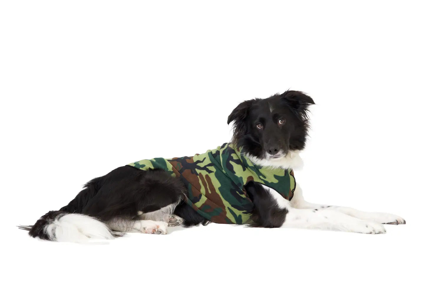 Goldpaw Stretch Fleece