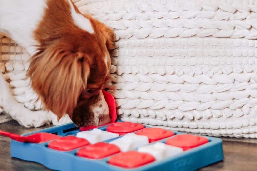 Outward Hound Dog Brick