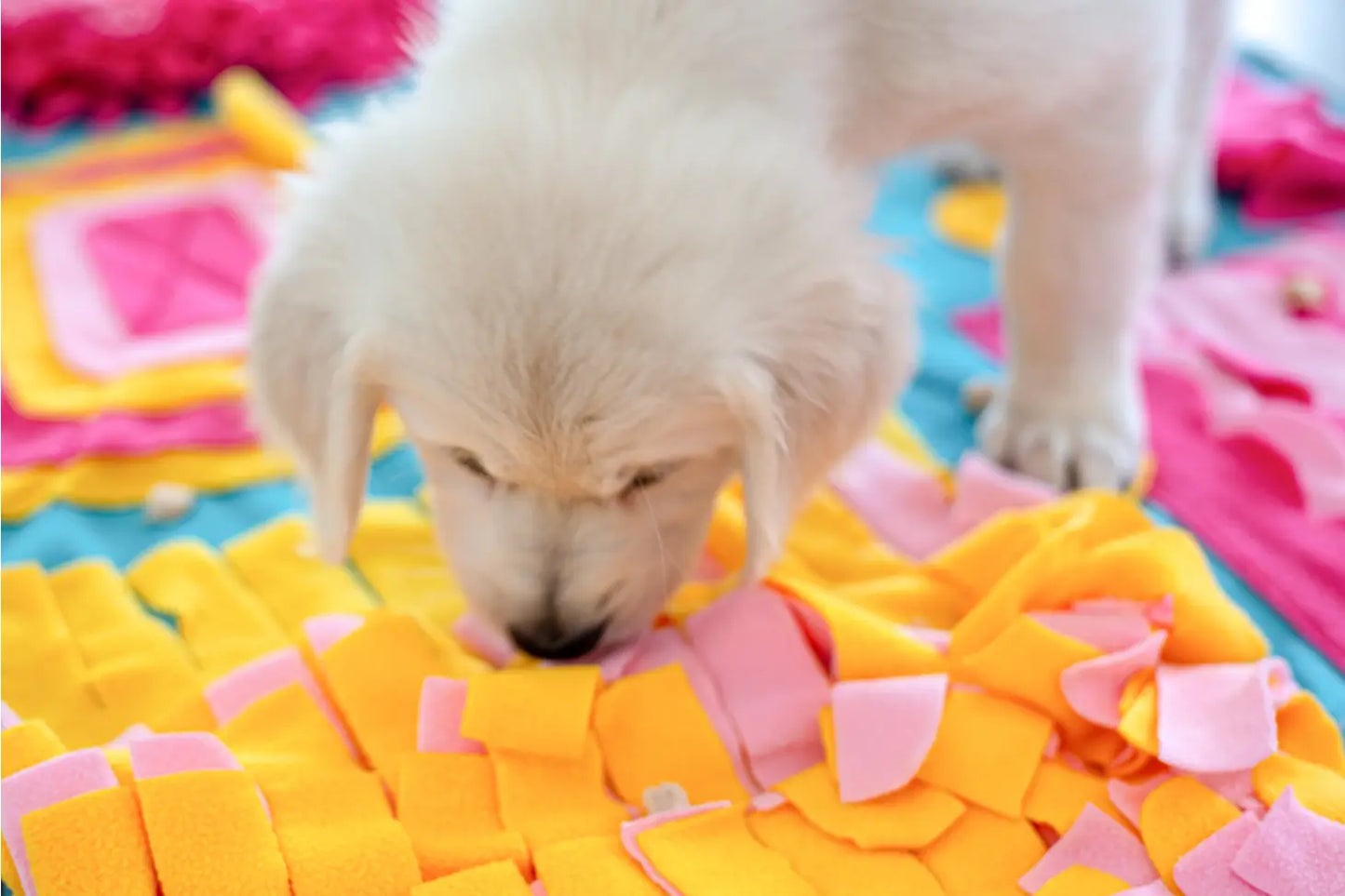 Fun House Snuffle Mat