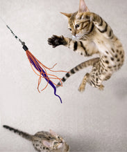 Load image into Gallery viewer, Wiggly Wand Cat Toy
