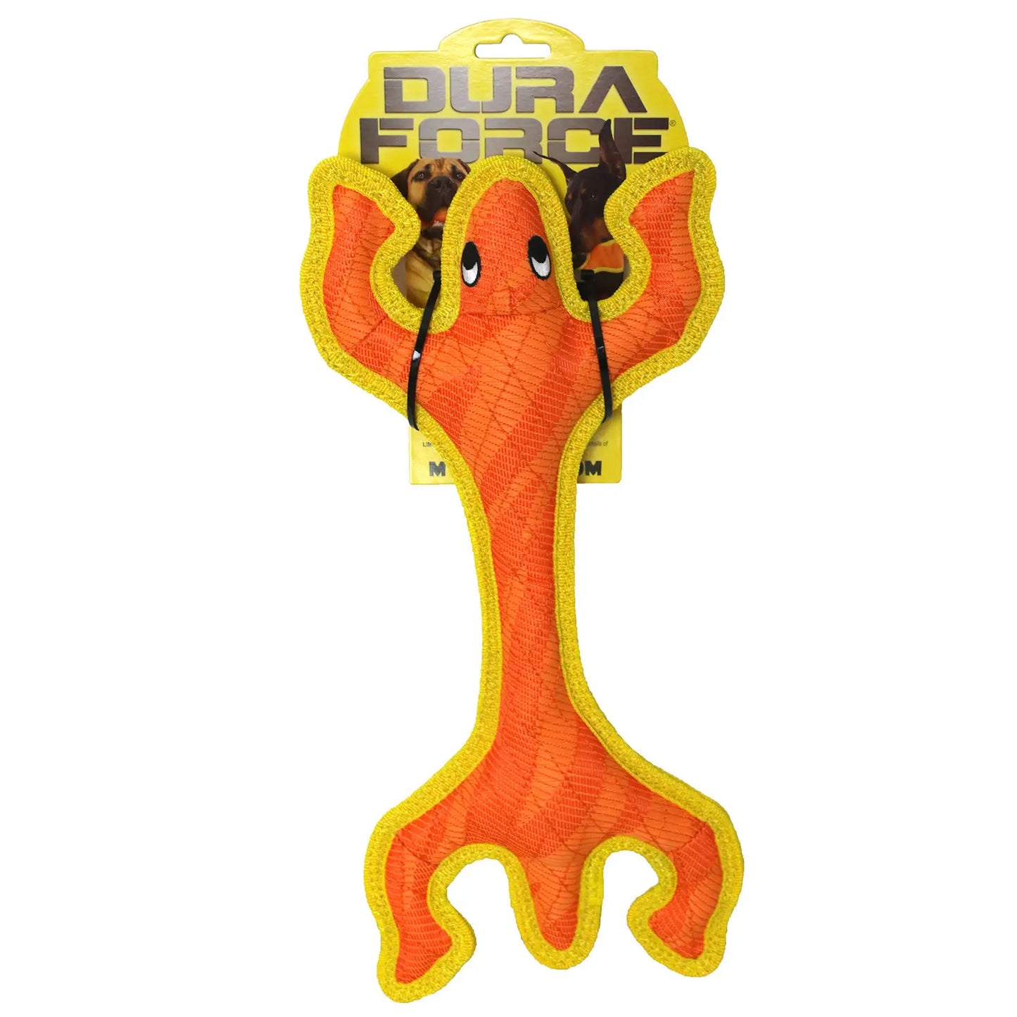 DuraForce Lizard Tiger - Orange and Yellow