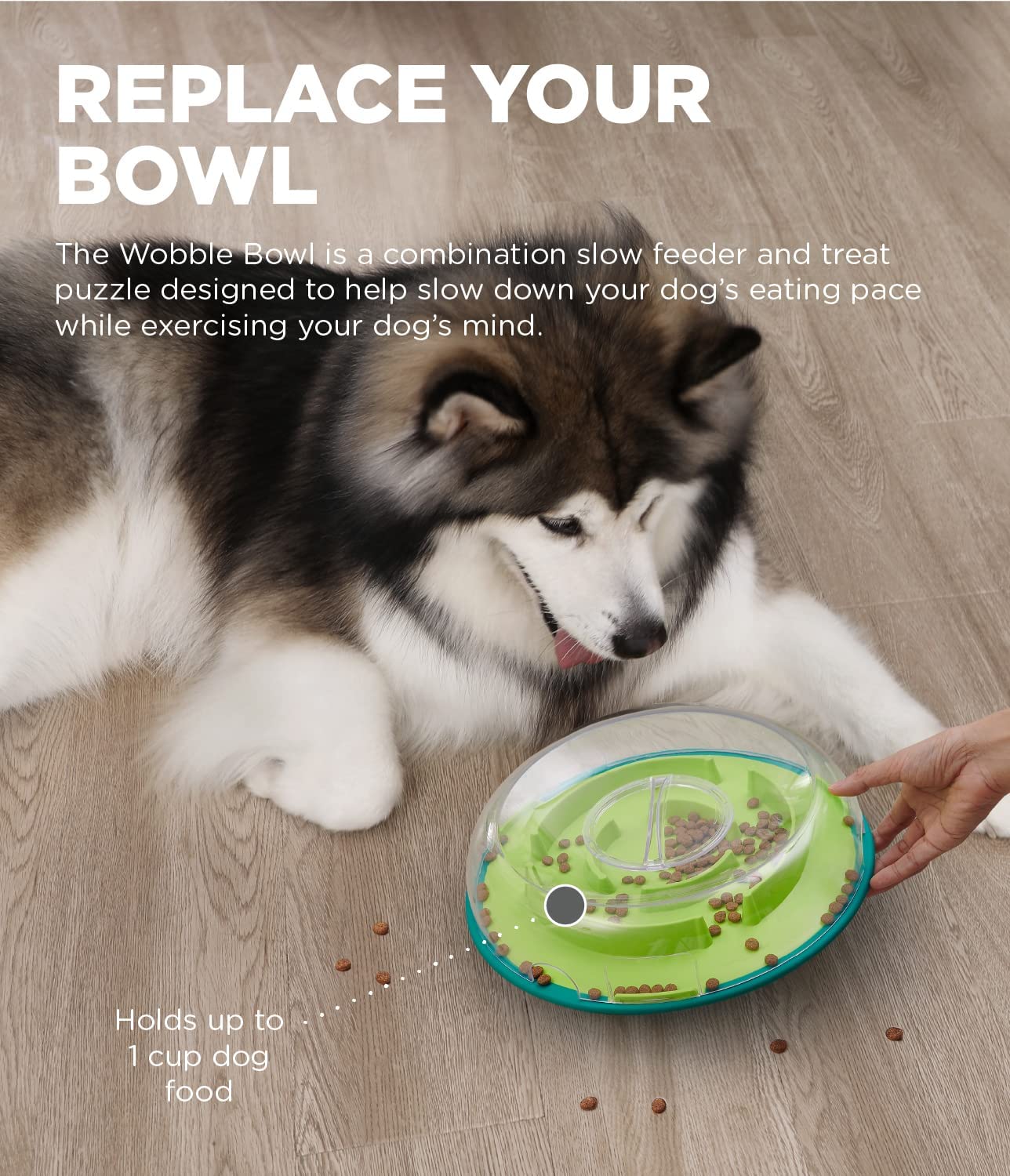 Outward Hound Wobble Bowl