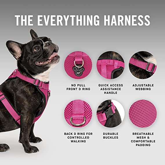 Canada Pooch The Everything Harness - Pink