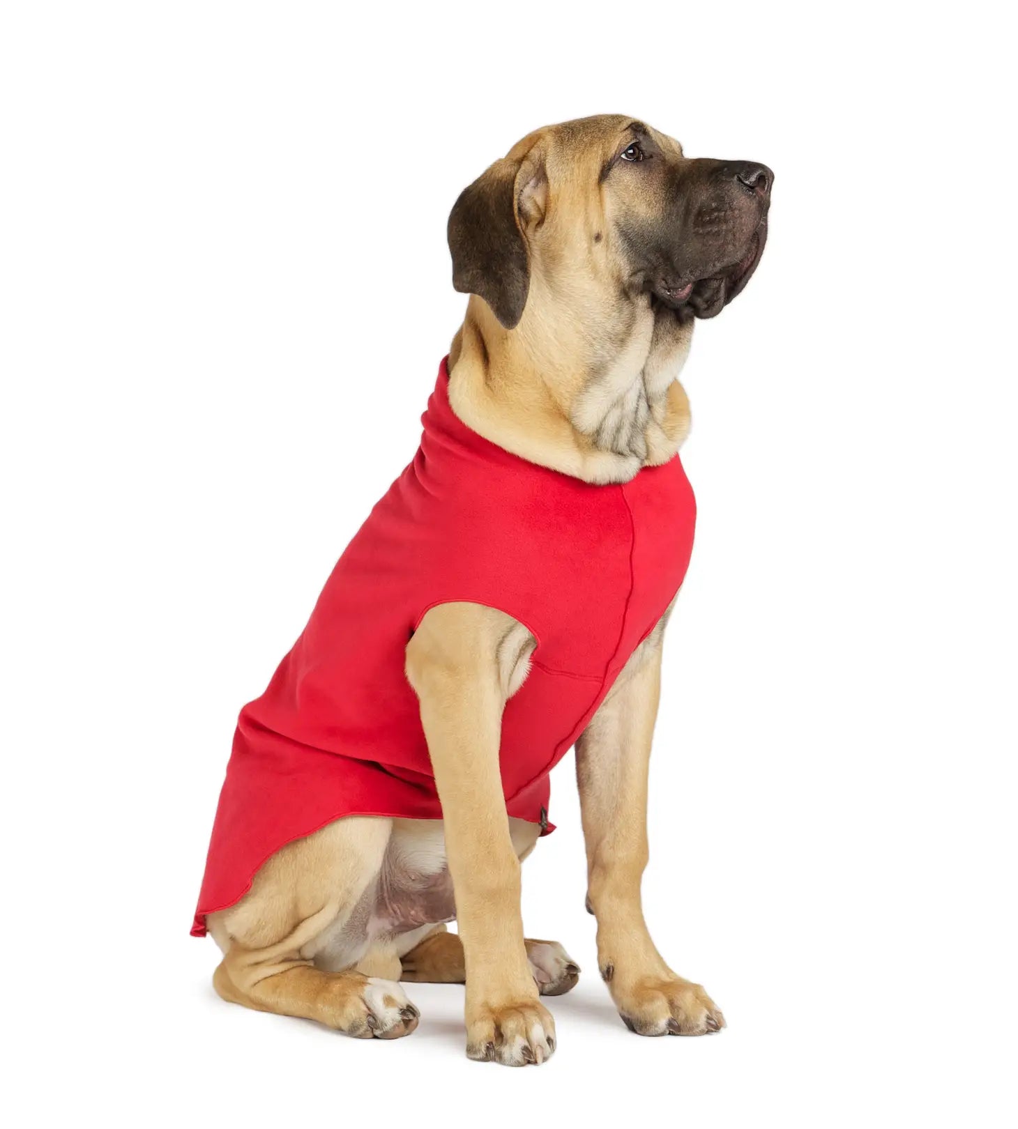 Goldpaw Stretch Fleece