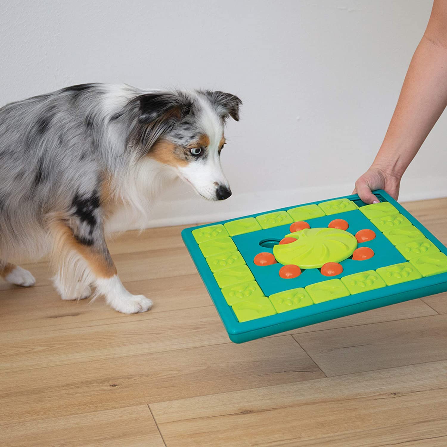 Outward Hound MultiPuzzle Interactive