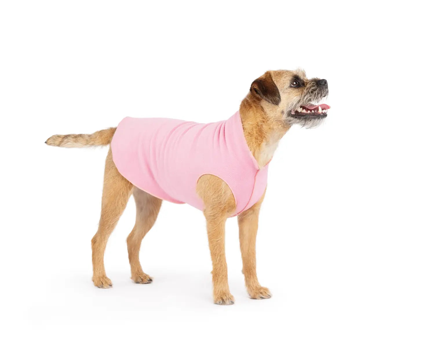 Goldpaw Stretch Fleece