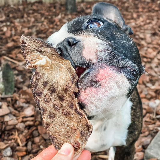 Go Bonkers Venison Jerky 100g