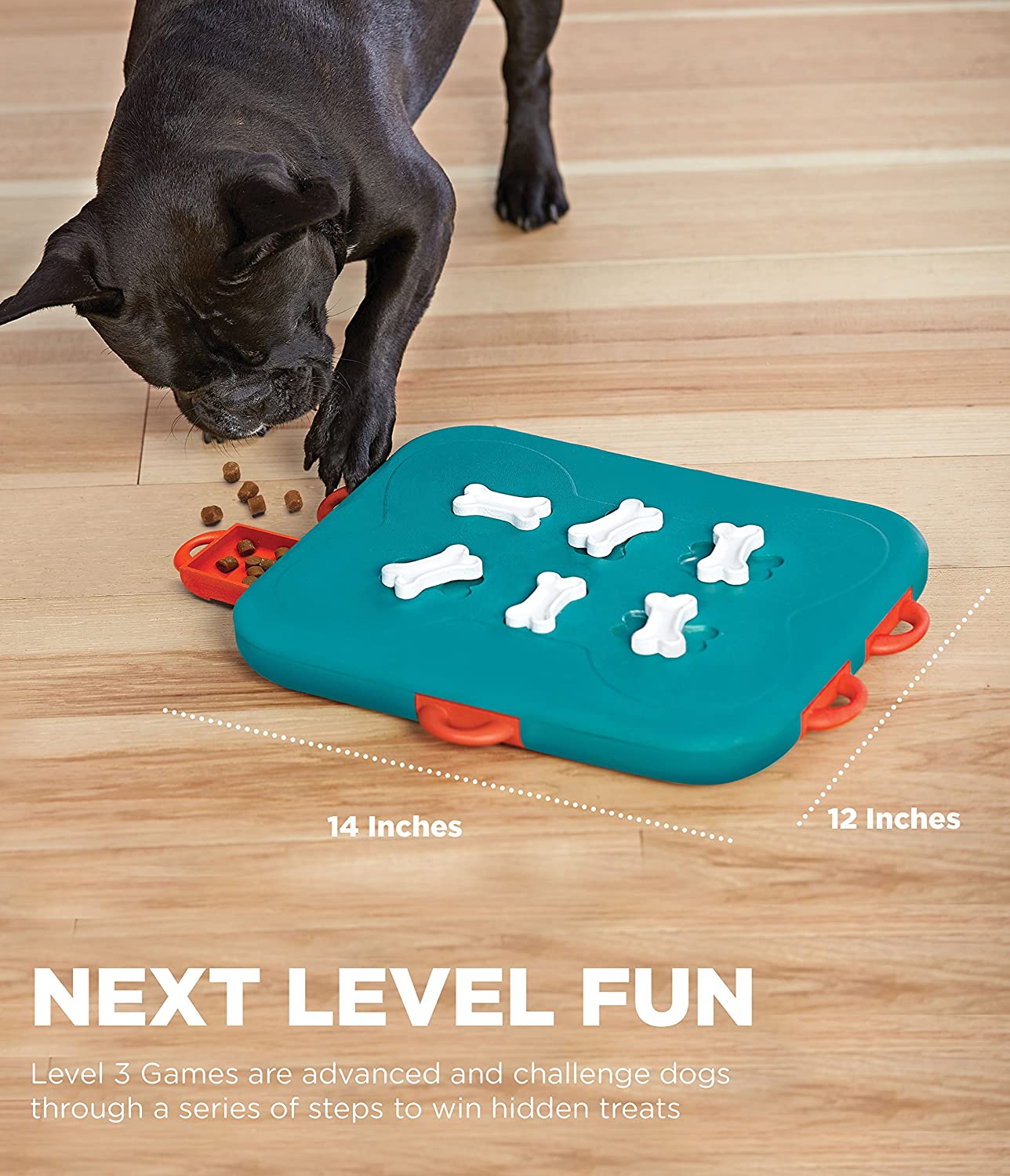 Outward Hound Dog Casino