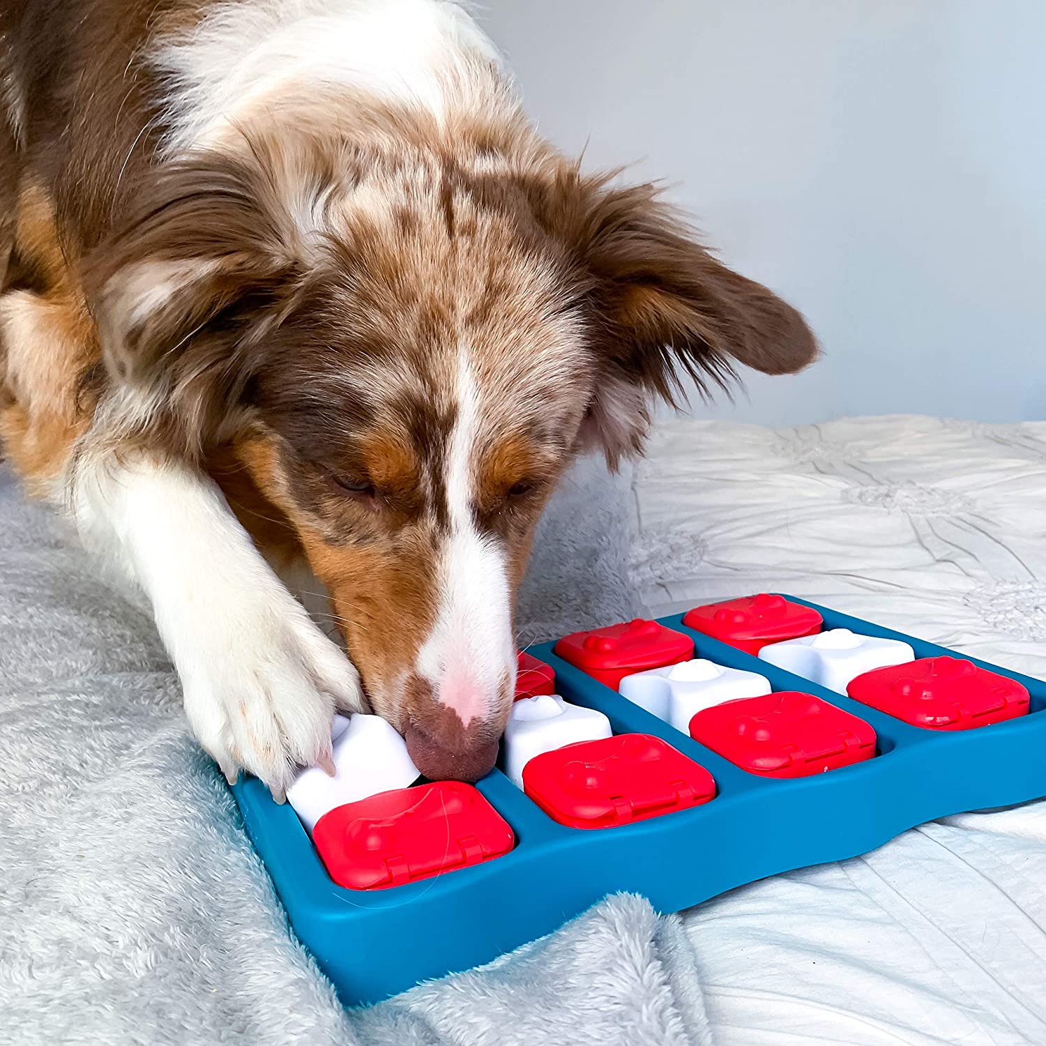 Outward Hound Dog Brick