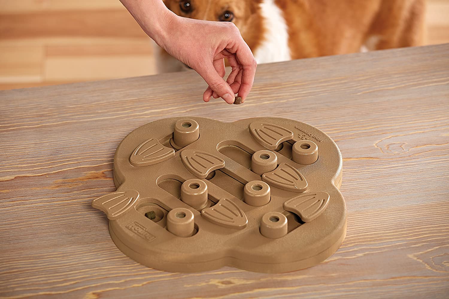 Outward Hound Hide N' Slide