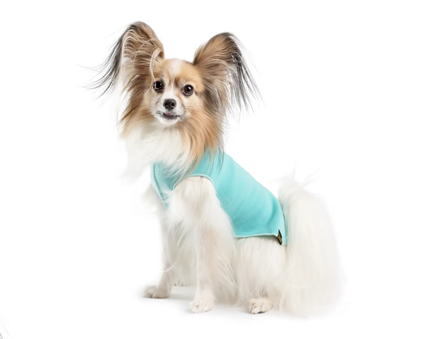 Goldpaw Stretch Fleece