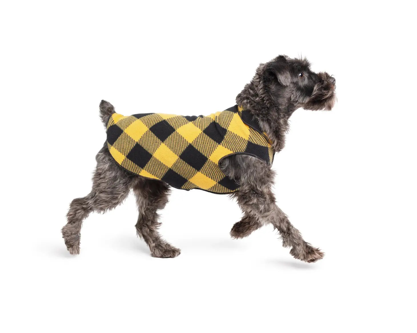 Goldpaw Stretch Fleece