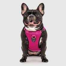 Load image into Gallery viewer, Canada Pooch The Everything Harness - Pink
