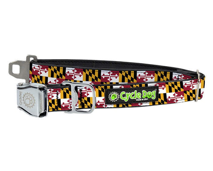 Collar de perro de Maryland 