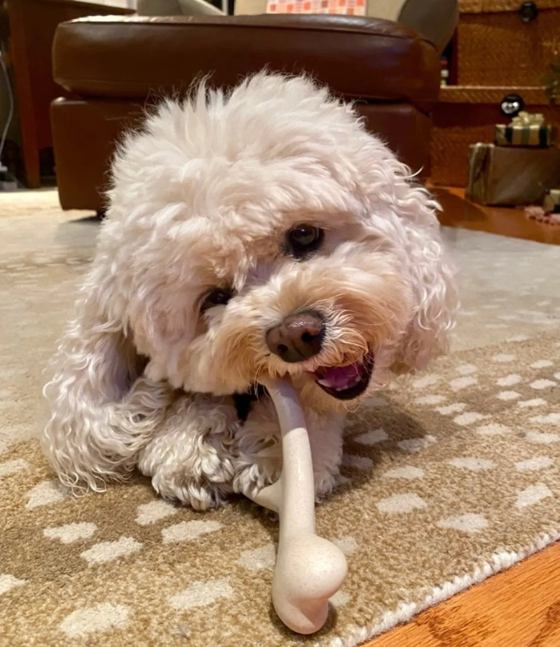 Pequeño Original BetterBone