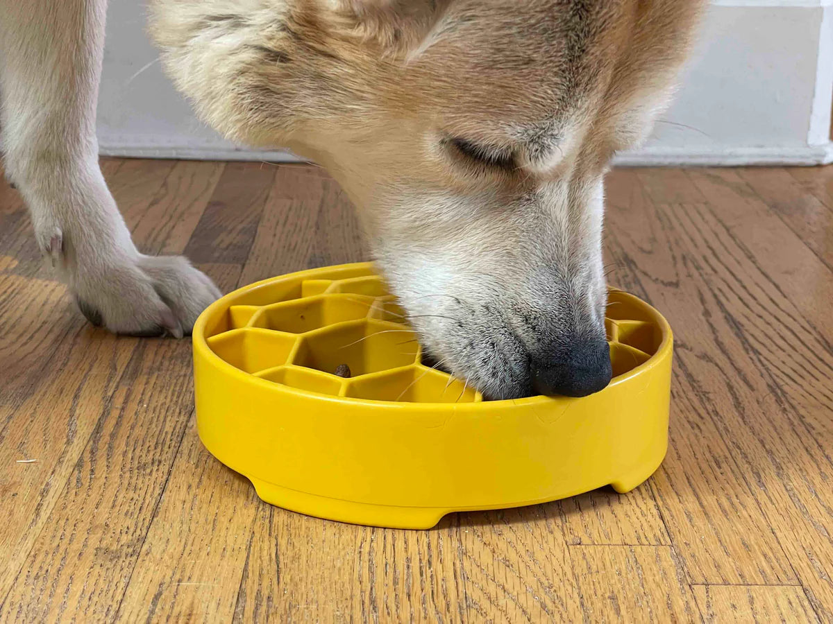 SodaPup Honeycomb Design Ebowl Enrichment Slow Feeder Bowl