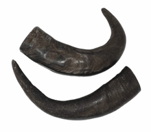 Load image into Gallery viewer, Premium Water Buffalo Horns
