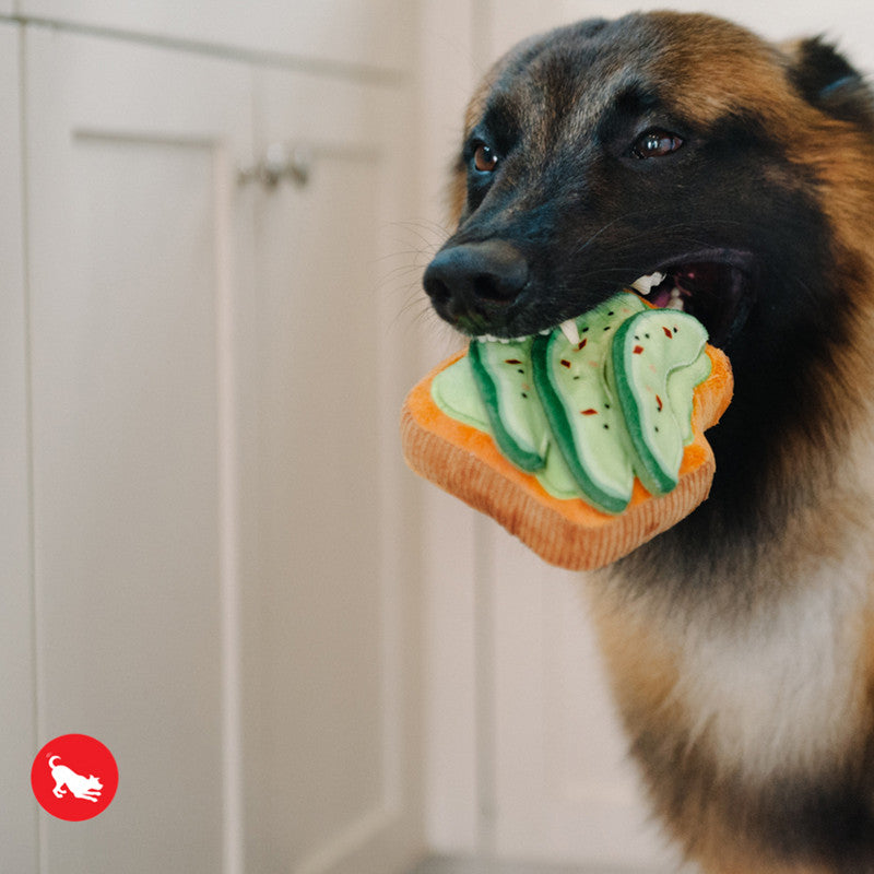 Barking Brunch - Tostada de Avo-doggo