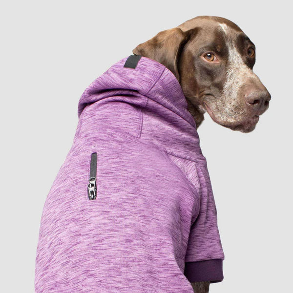Canada Pooch Spacedye Hero Hoodie - Purple