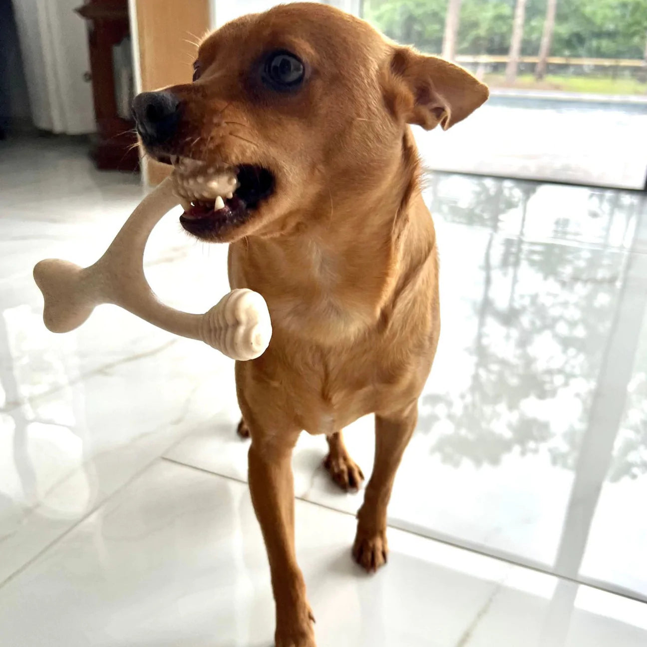 Pequeño Original BetterBone