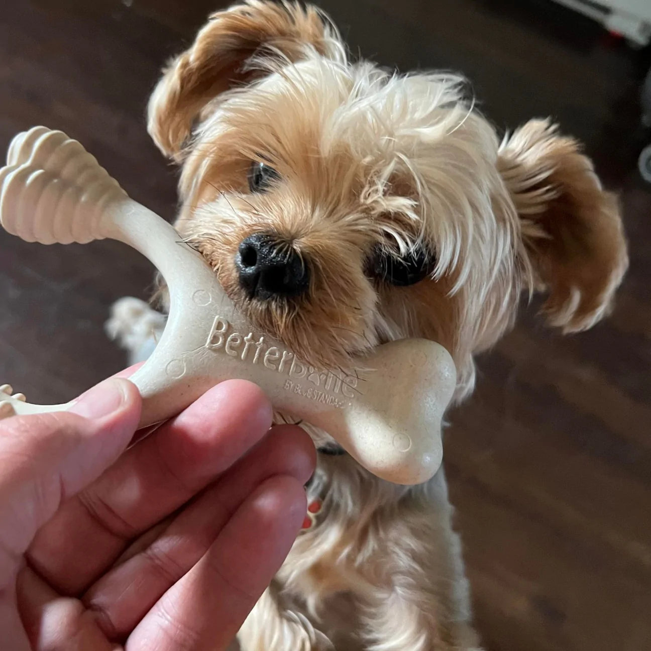 Pequeño Original BetterBone