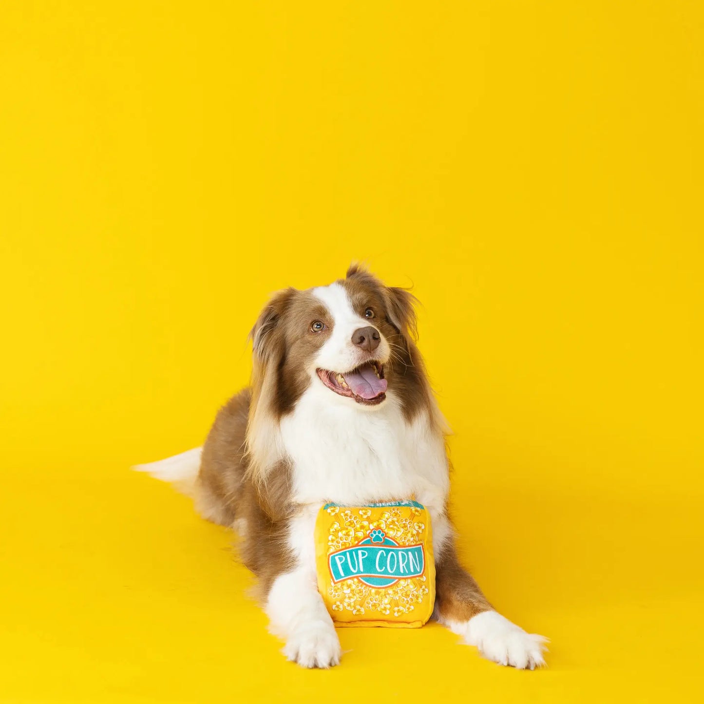 Bolsa de microondas para cachorros de maíz