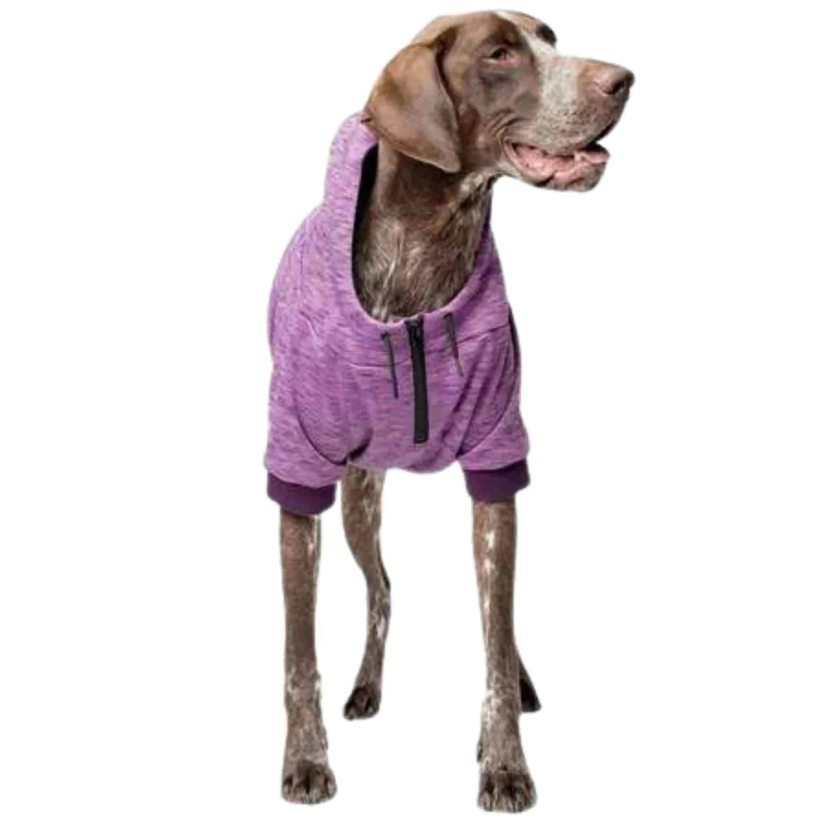 Canada Pooch Spacedye Hero Hoodie - Purple