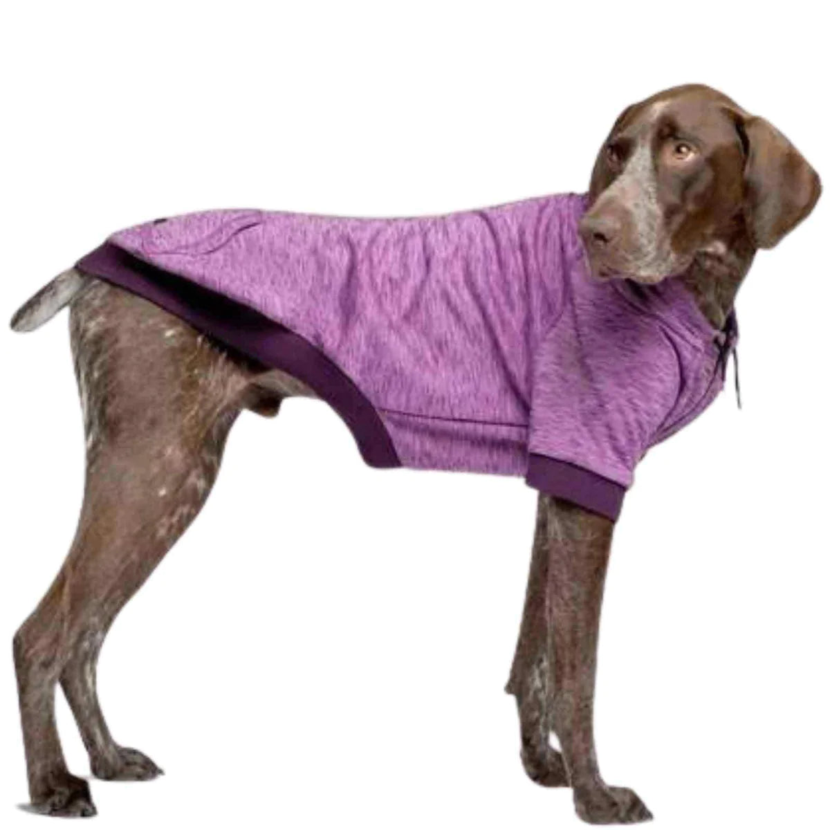 Canada Pooch Spacedye Hero Hoodie - Purple