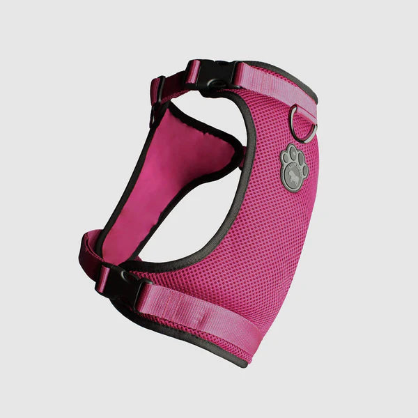 Canada Pooch The Everything Harness - Pink