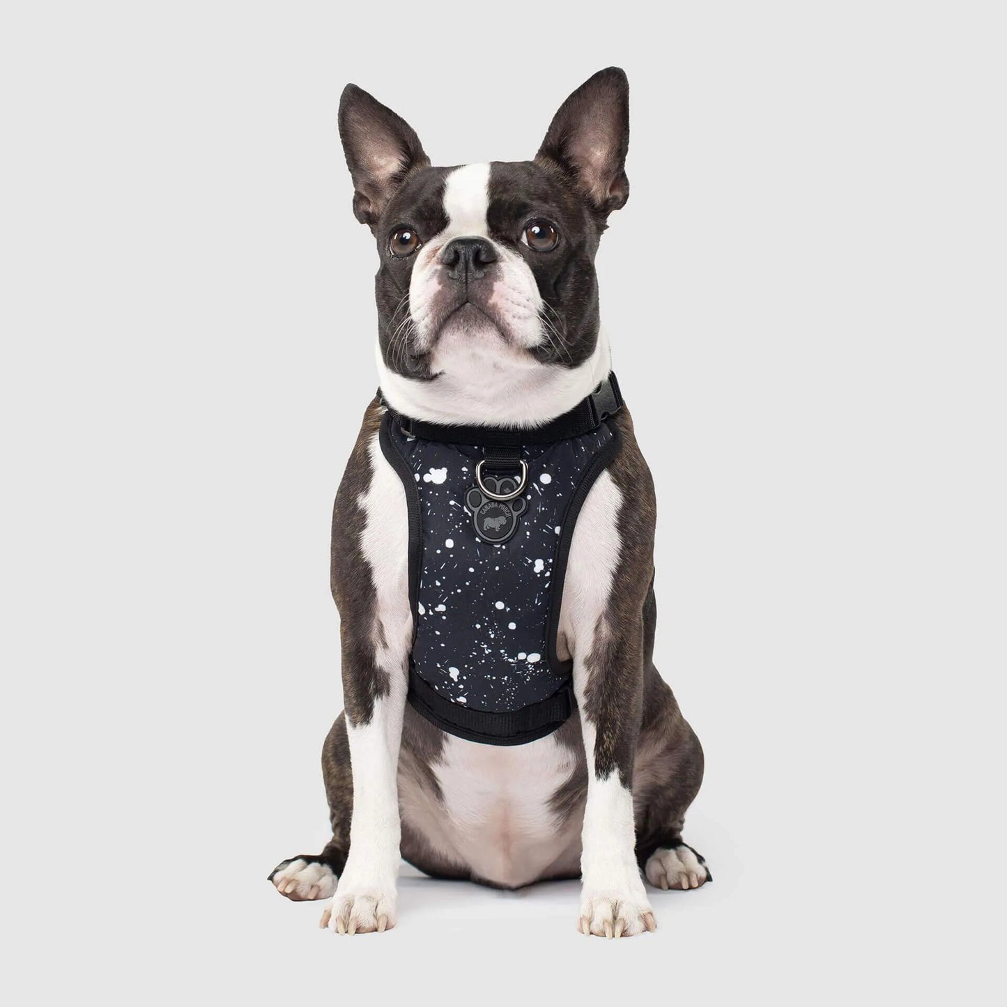 Canada Pooch The Everything Harness Water-Resistant Series - Splatter