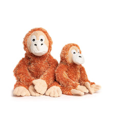 Load image into Gallery viewer, Fab Dog Fluffy Orangutan
