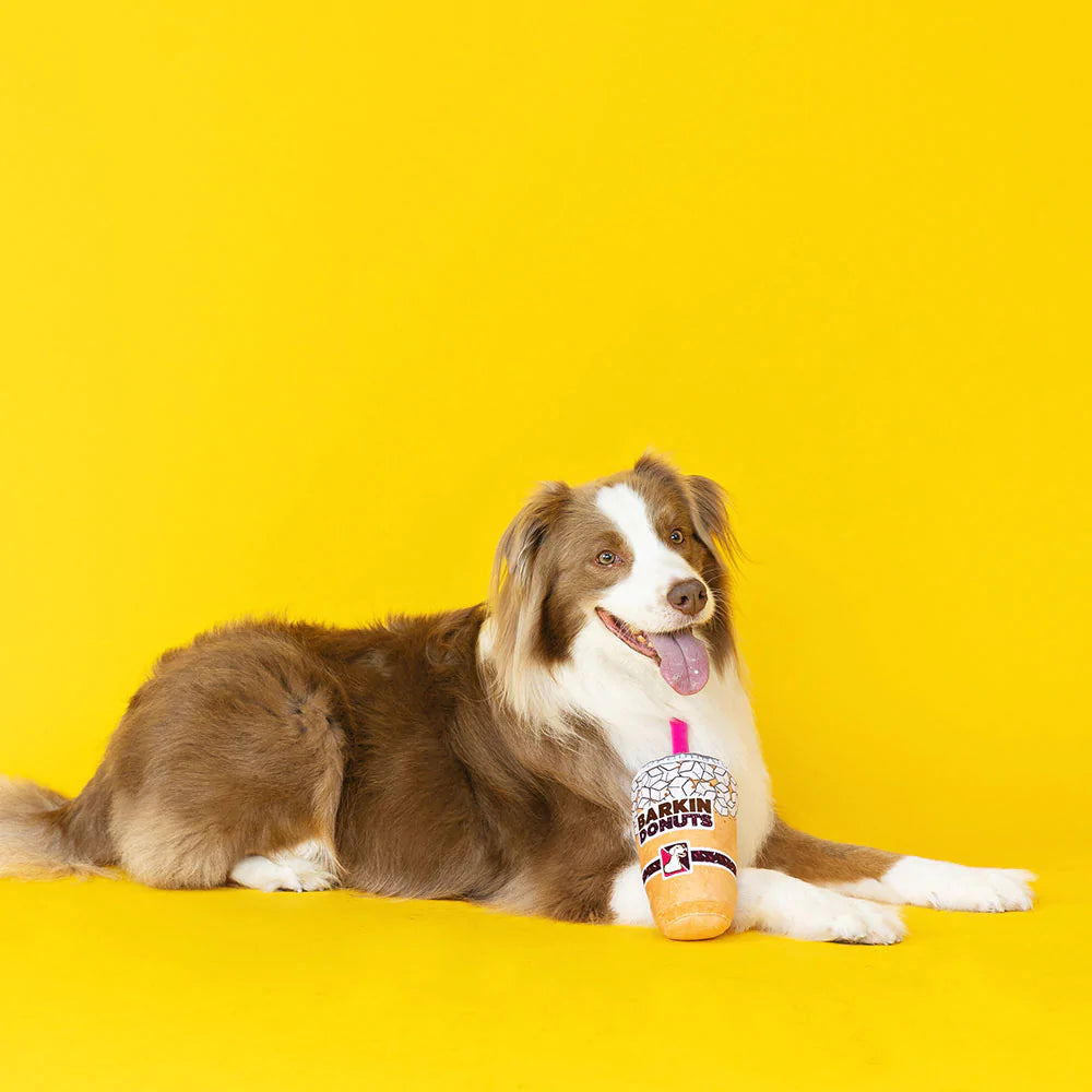 Petshop Barkin Donut Ice Coffee