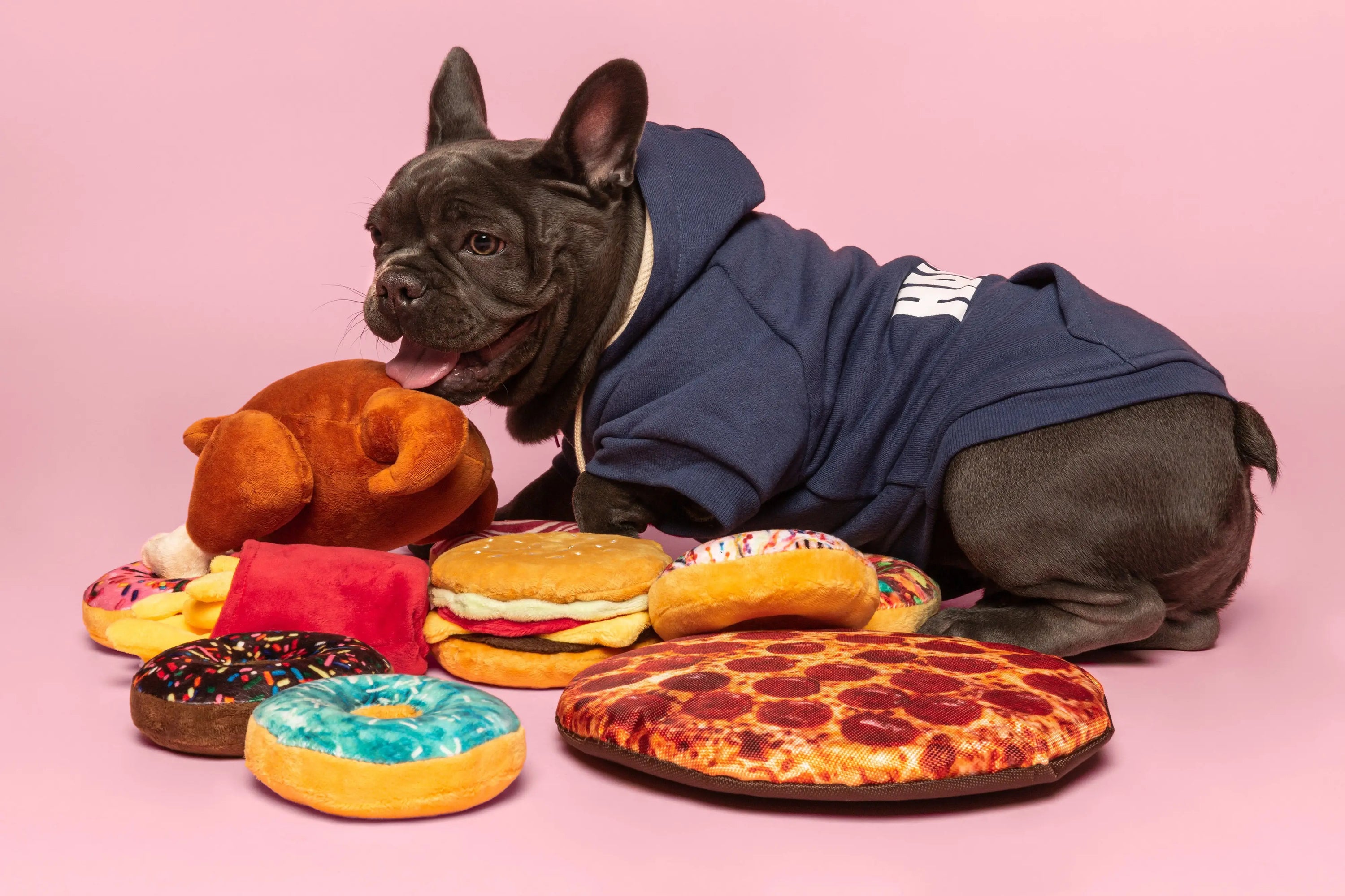 Fab Dog Doughnuts