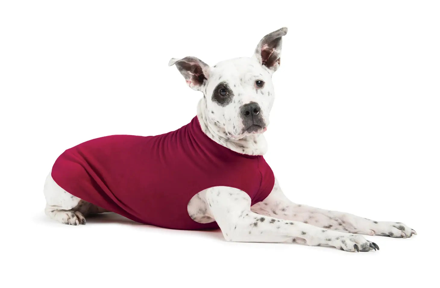Goldpaw Stretch Fleece