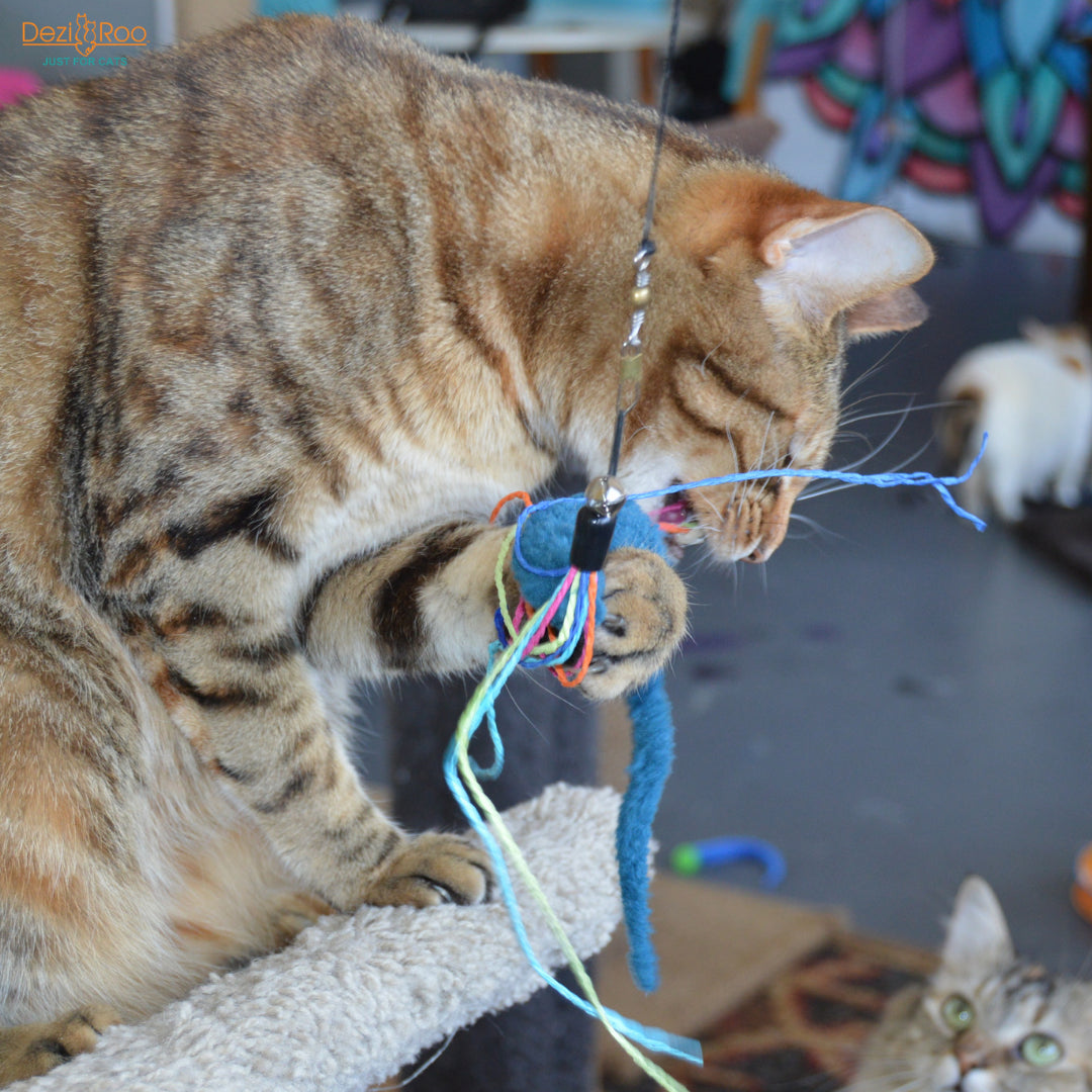 Wiggly Wand Cat Toy