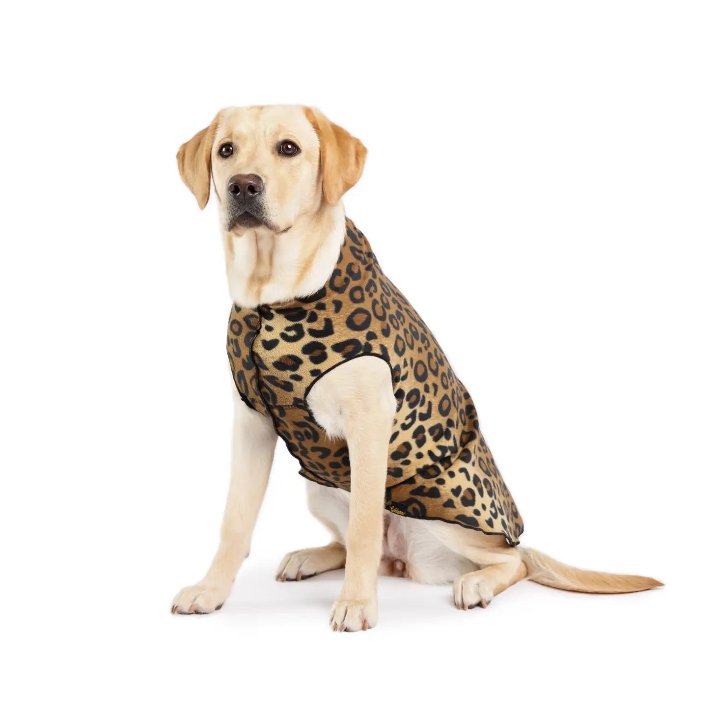 Goldpaw Stretch Fleece