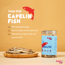 Load image into Gallery viewer, Arya Sit Freeze-Dried Capelin 4oz
