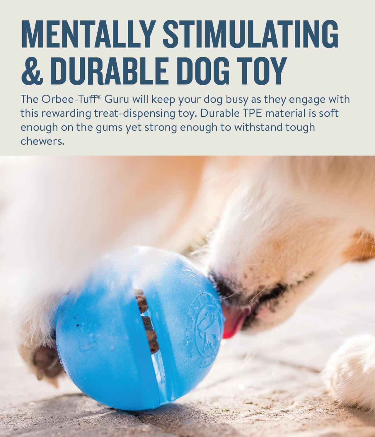 Planet Dog Blue Orbee-Tuff Snoop Interactive Treat Dispensing Toy