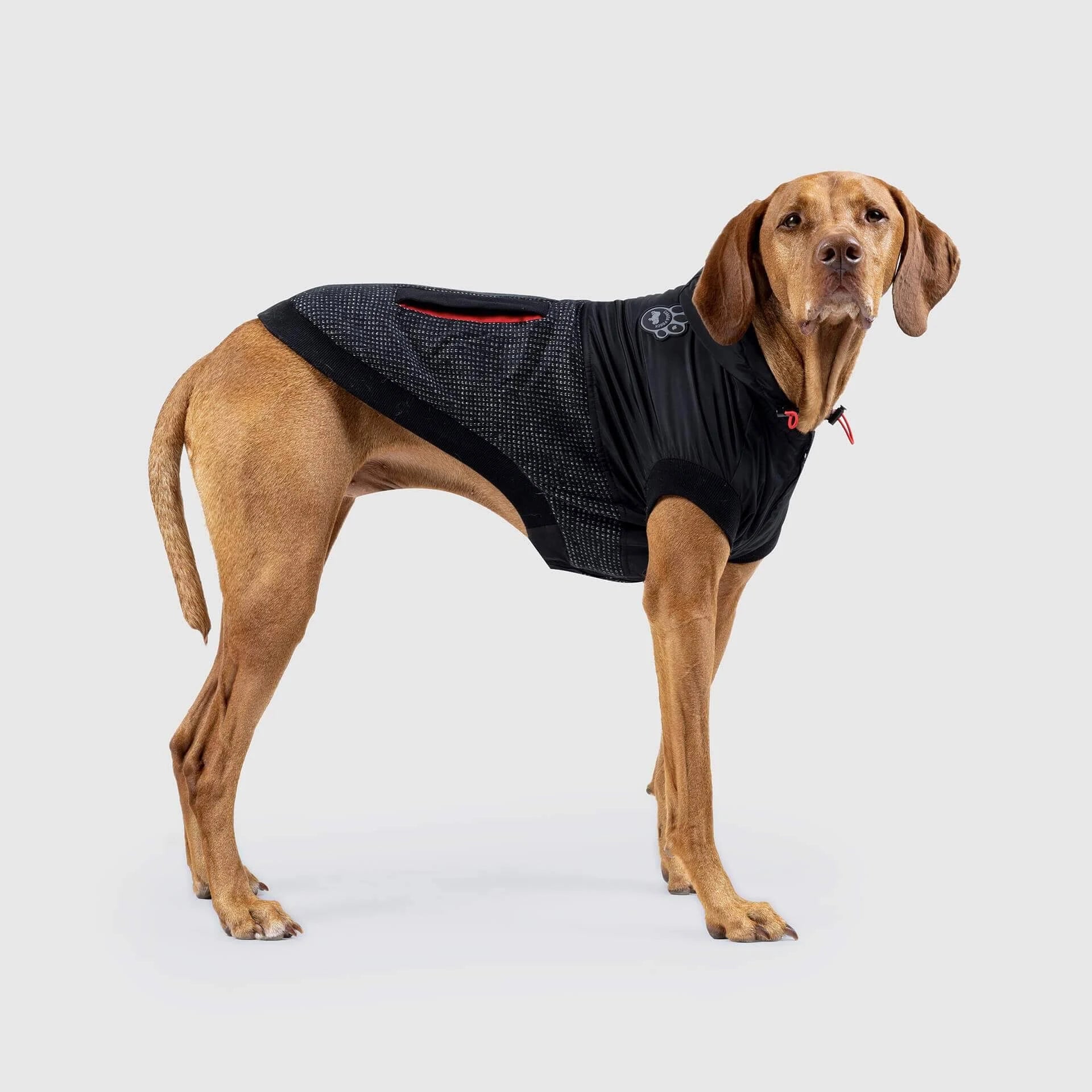 Canada Pooch Reflective Hybrid Jacket
